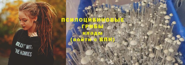 COCAINE Белокуриха