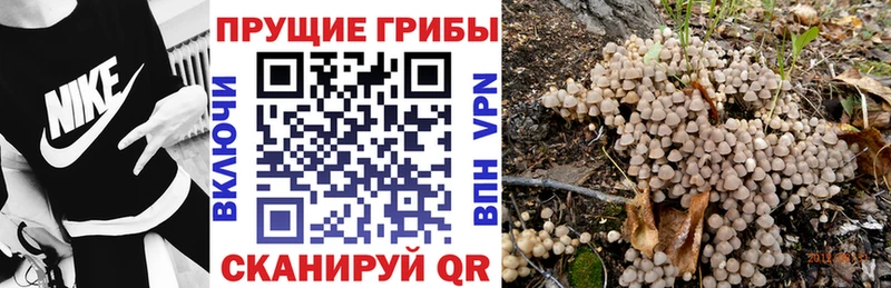 Псилоцибиновые грибы мицелий  Лабинск 